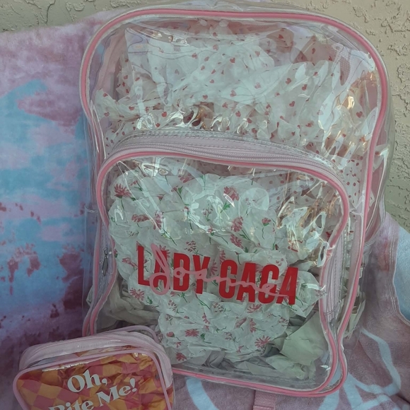 Lady Gaga Handbags - LADY GAGA Clear "Joanne" Backpack & Pouch w/ Pink Straps & Lining